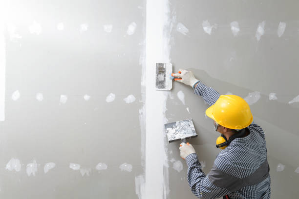 Best Comprehensive Air Testing for Mold Contaminants  in Pleasantville, NY