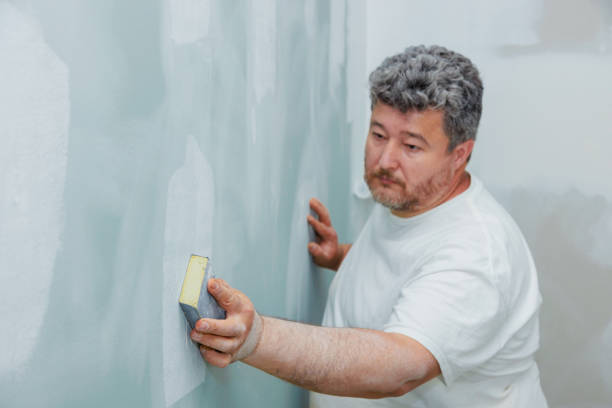 Best Real Estate Mold Inspection  in Pleasantville, NY